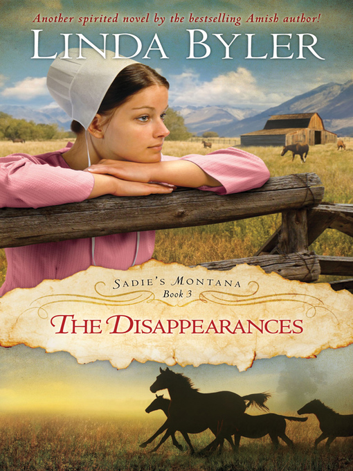 Title details for Disappearances by Linda Byler - Wait list